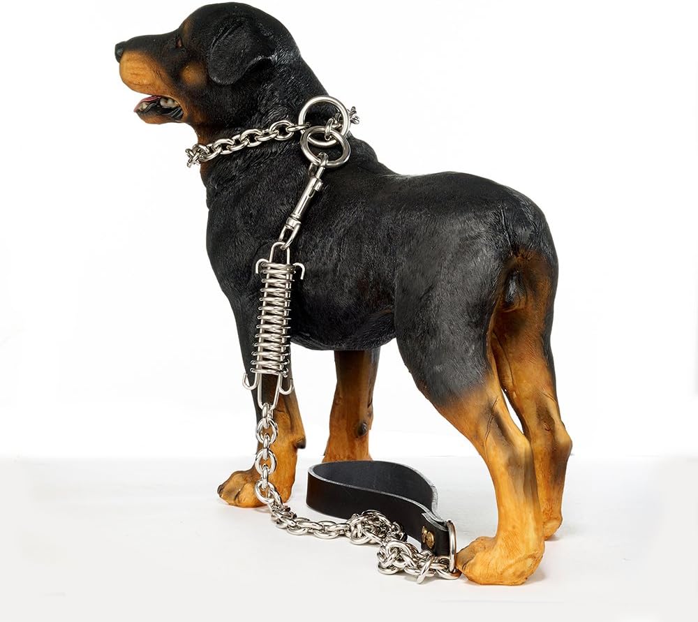 abaxaca dog collar