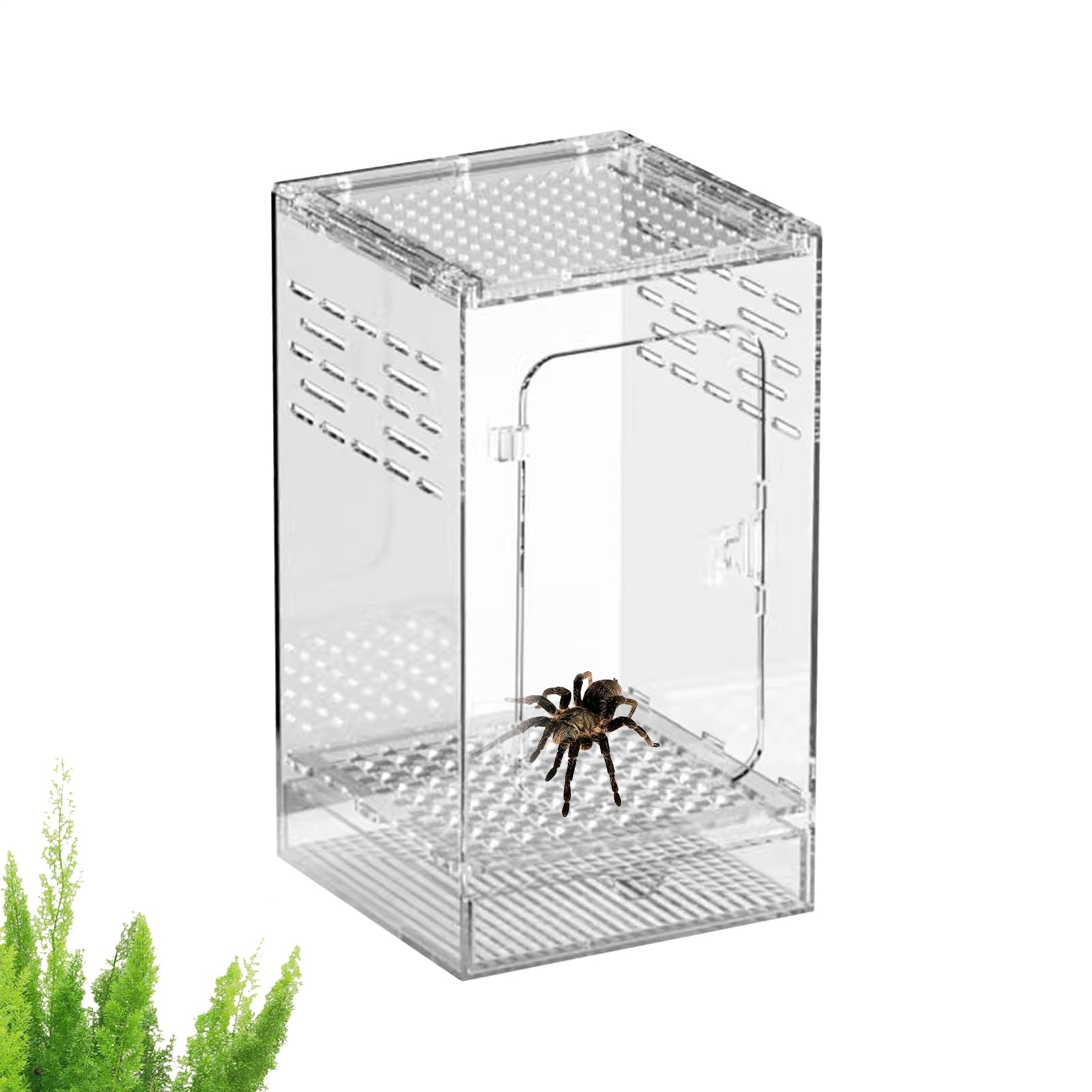 Terrarium Dla Modliszek Akrylowe Przewiewne Przezroczyste | Habitat dla Modliszek Terrarium dla Jaszczurek dla Żab Węży Krabów Płazów Małych Zwierząt Dom Wewnętrzny