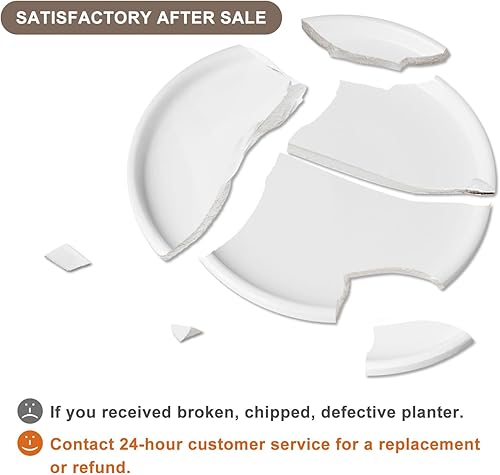 Miniatura 6 de YUFDA Macetas de cerámica, macetas de 8 pulgadas con agujeros de drenaje y platillo, macetas grandes para exteriores, maceta decorativa moderna y