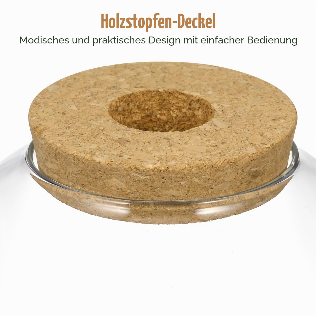iplusmile Pflanzenterrarium aus Glasflasche: Glas mit korkdeckel DIY Micro-Landschaftsflasche Für Fischschale Vase flaschengarten Pflanzen Terrarium(Nur Flaschen)
