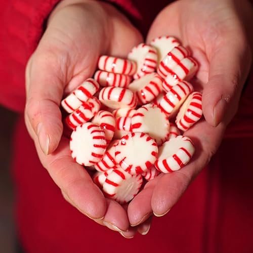 Miniatura 7 de Starlight Peppermints - Caramelos envueltos individualmente, dulces para refresco sobre la marcha, caramelo duro de menta Starlight, menta caramelo