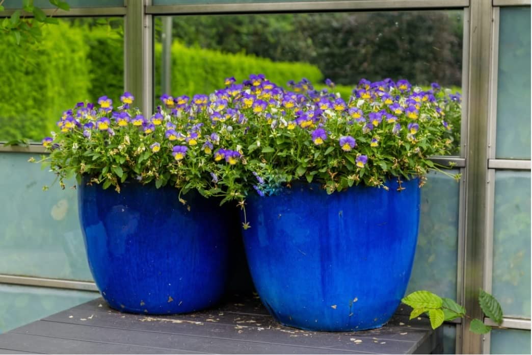 KOTARBAU® Maceta de cerámica esmaltada Ø 31cm, Maceta para Exteriores, Maceta de jardín terraza, Maceta Azul Cobalto, Maceta con Plato, Maceta Redonda, Acabado Brillante, Macetero Decorativo Ceramica