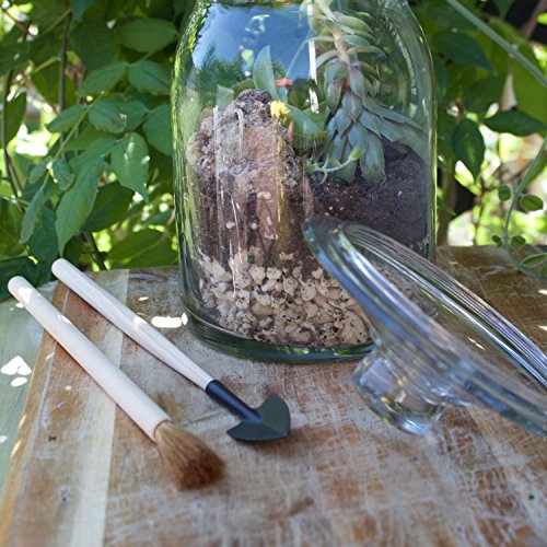 Syndicate Sales Kit de ferramentas para terrário 052076