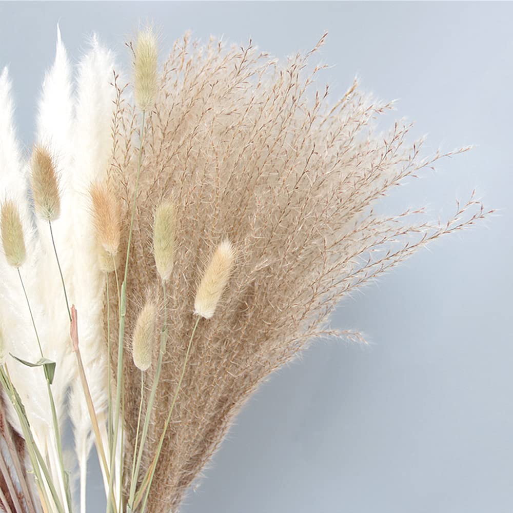 30 Rami Di Erba Della Pampa Bianca Essiccata - 45 Cm - Decorazione Naturale Per Casa, Matrimoni, Composizioni Floreali E Feste