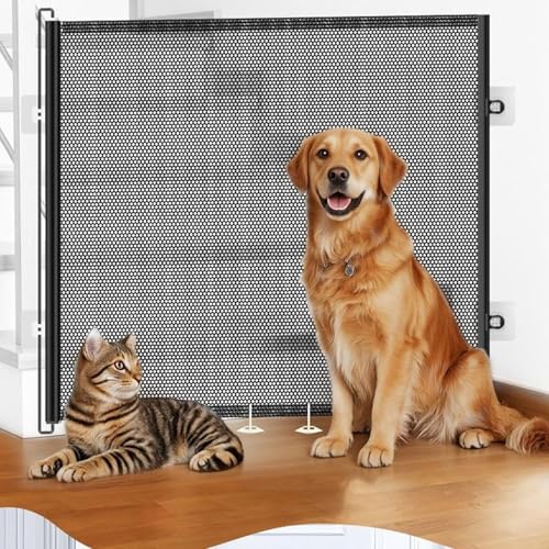 Barrière pour chat d'intérieur, portail de porte rétractable pliable