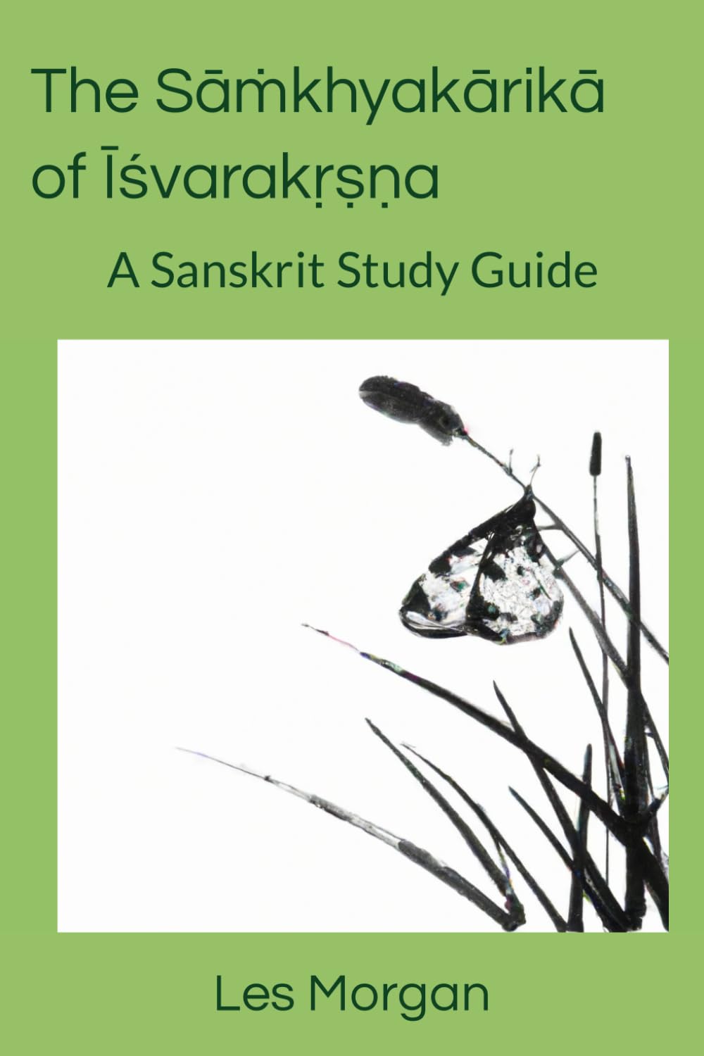 The Sāṁkhyakārikā of Īśvarakṛṣṇa: A Sanskrit Study Guide
