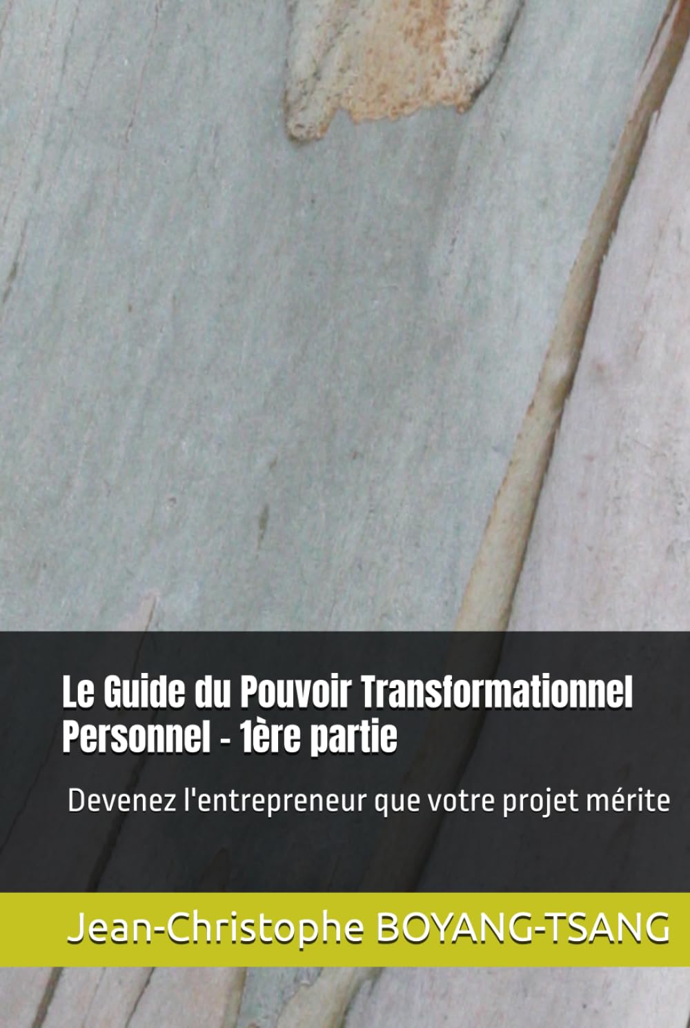 Le Guide du Pouvoir Transformationnel Personnel - 1ère partie: Devenez l'entrepreneur que votre projet mérite