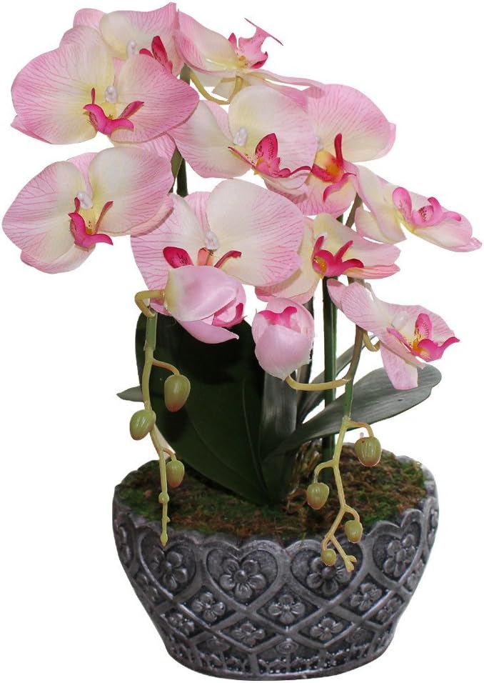 Huazhiwu 19" Silky Phalaenopsia Artificial Orchid Arrangements With Decorative Pot 3313, Pink