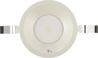 大光电机(DAIKO) 羽绒灯(屋檐下兼用) LED 7.6W 日光色 5000K DDL-5107WW