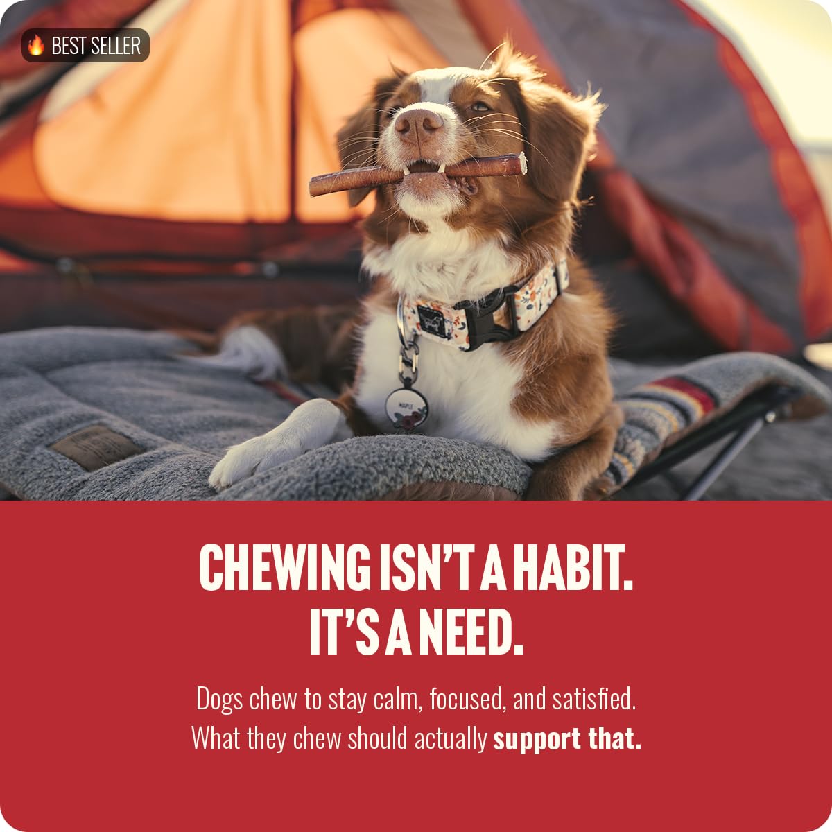 Natural Farm Bully Sticks, Odor-Free (12 Inch, 5 Count), 8.8 Oz. Per Bag, 100% Beef Chews, Grass-Fed, Non-GMO, Fully Digestible Dental Treats to Keep Your Small and Medium Dogs Busy and Happy