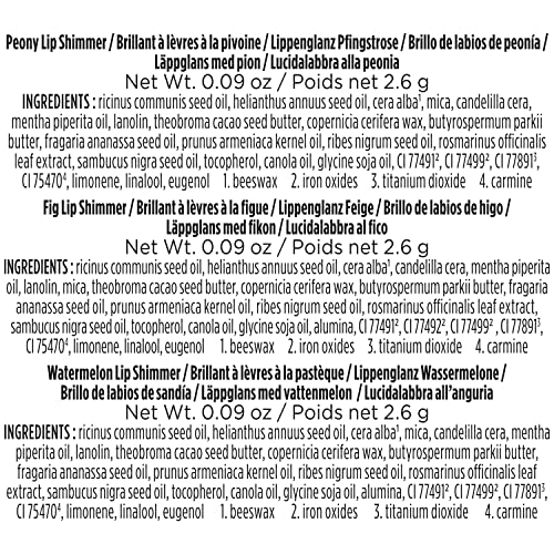 Burt's Bees Lip Balm Spring Gifts, 3 Nourishing Lip Care Shimmers For All Day Glow, Kissable Color Spring Gift Set -Peony, Fig & Rhubarb (Packaging May Vary) #TOP4