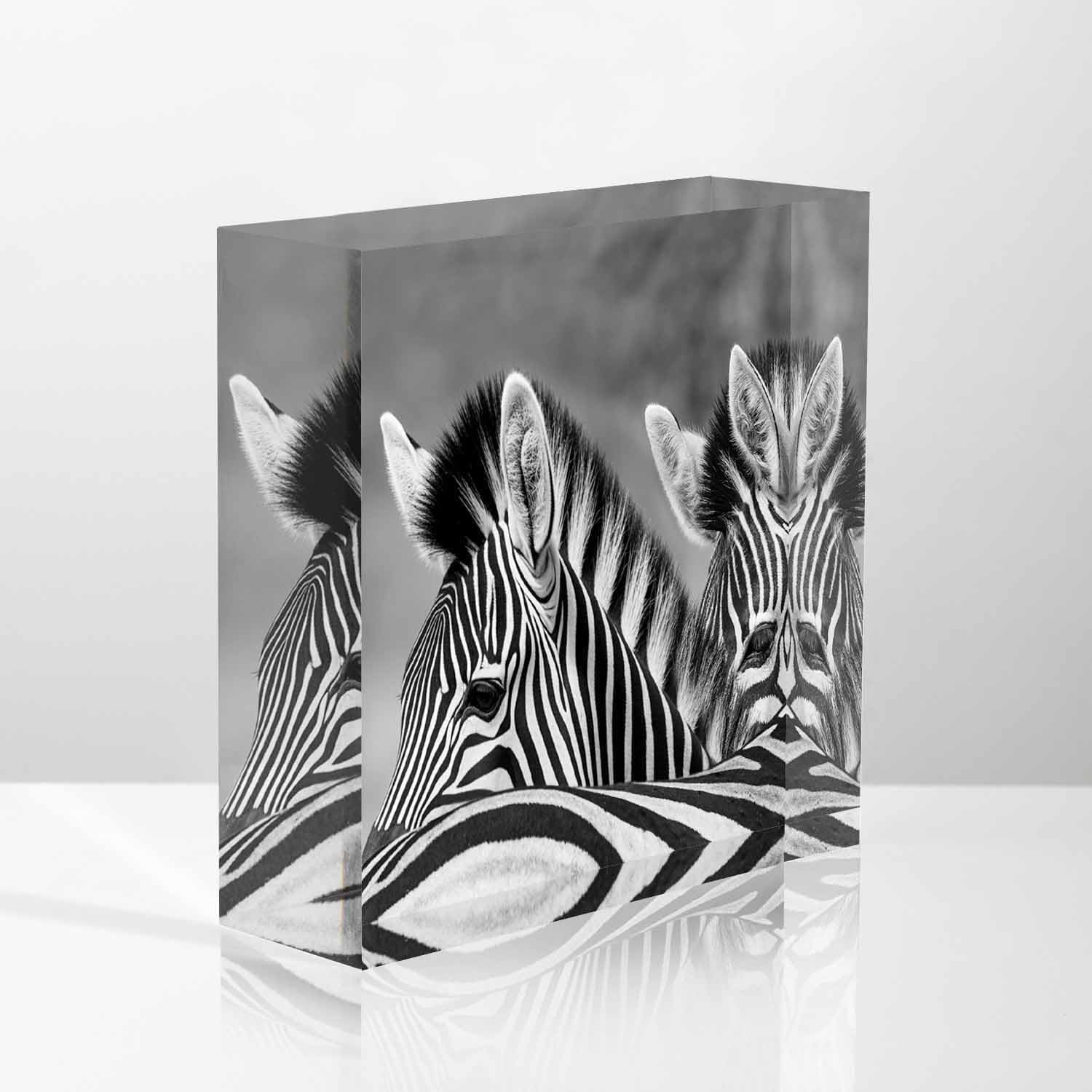 Acrylic Crystal Decoration Wild View of The Zebra Herd Presents for Women Friends - Women Congratulations Presents - Presents for Mom Sister Teacher 4x4inch