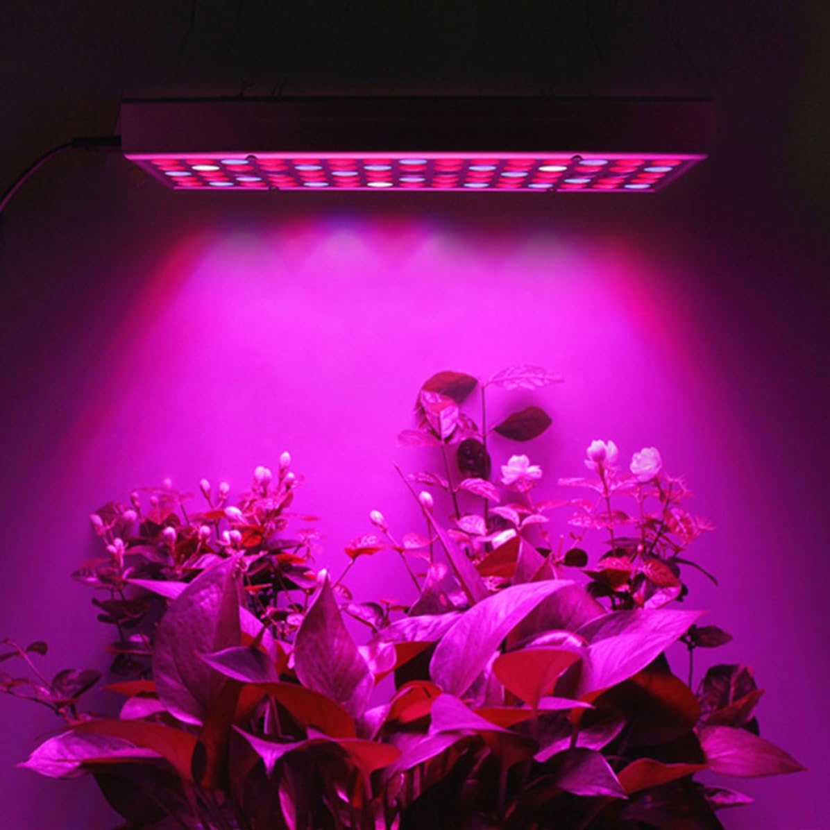 Lampada LED da Coltivazione 45w in Plastico Argento per Fiori | Distribuzione Uniforme della Luce, Lunga Durata, Adatta a Serra e Piantine Indoor