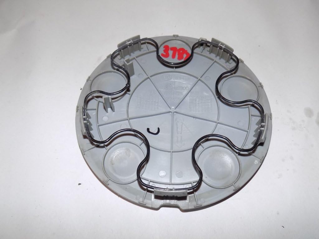Genuine Kia 52960-2T300 Wheel Hub Cap Assembly : Automotive