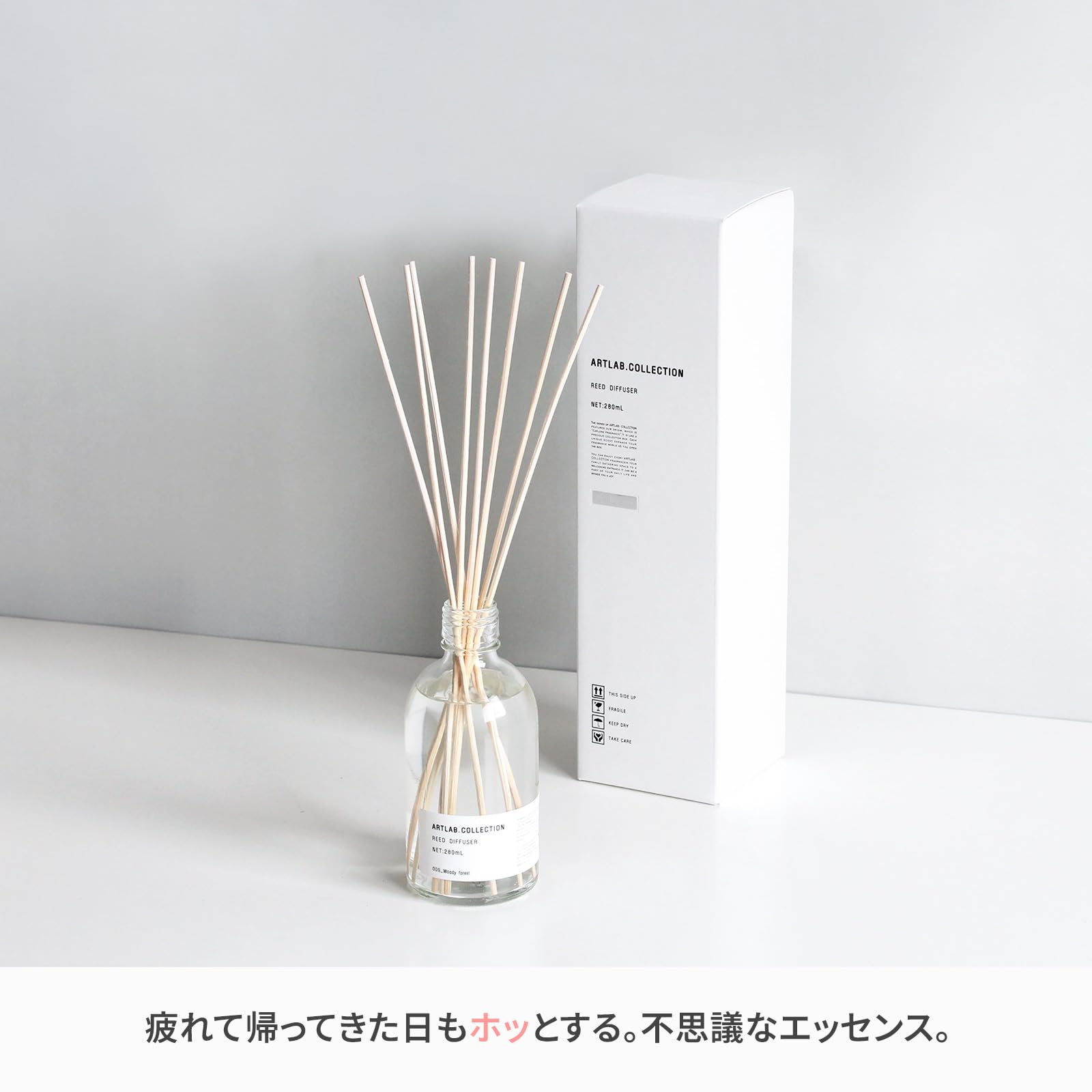 Amazon | ART LAB. COLLECTION(アート・ラボ コレクション) リード