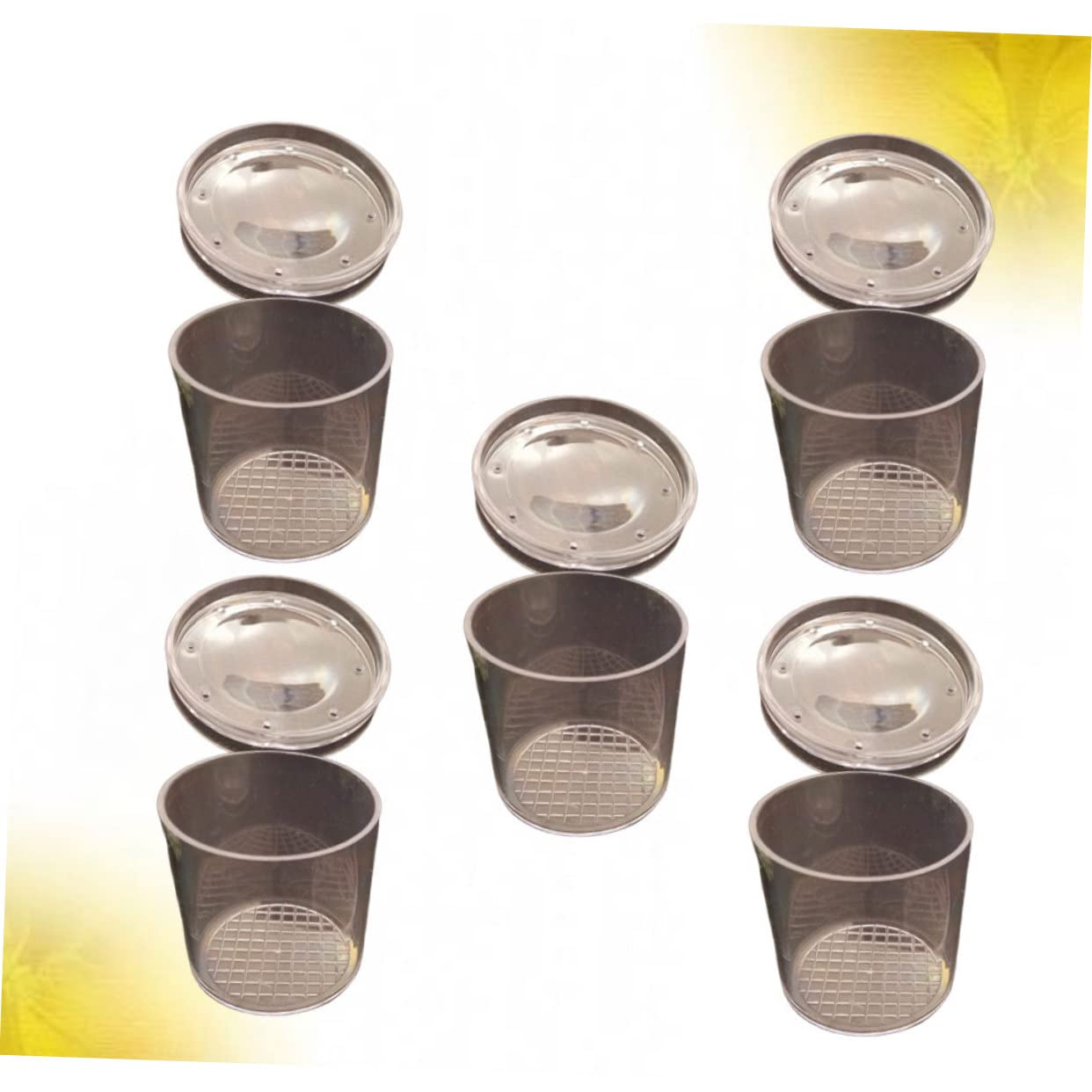 VANZACK 5pcs Exploration Viewer Box for Insect Observation Case with Venting Holes Educational Tool for Nature Exploration and Science Learning