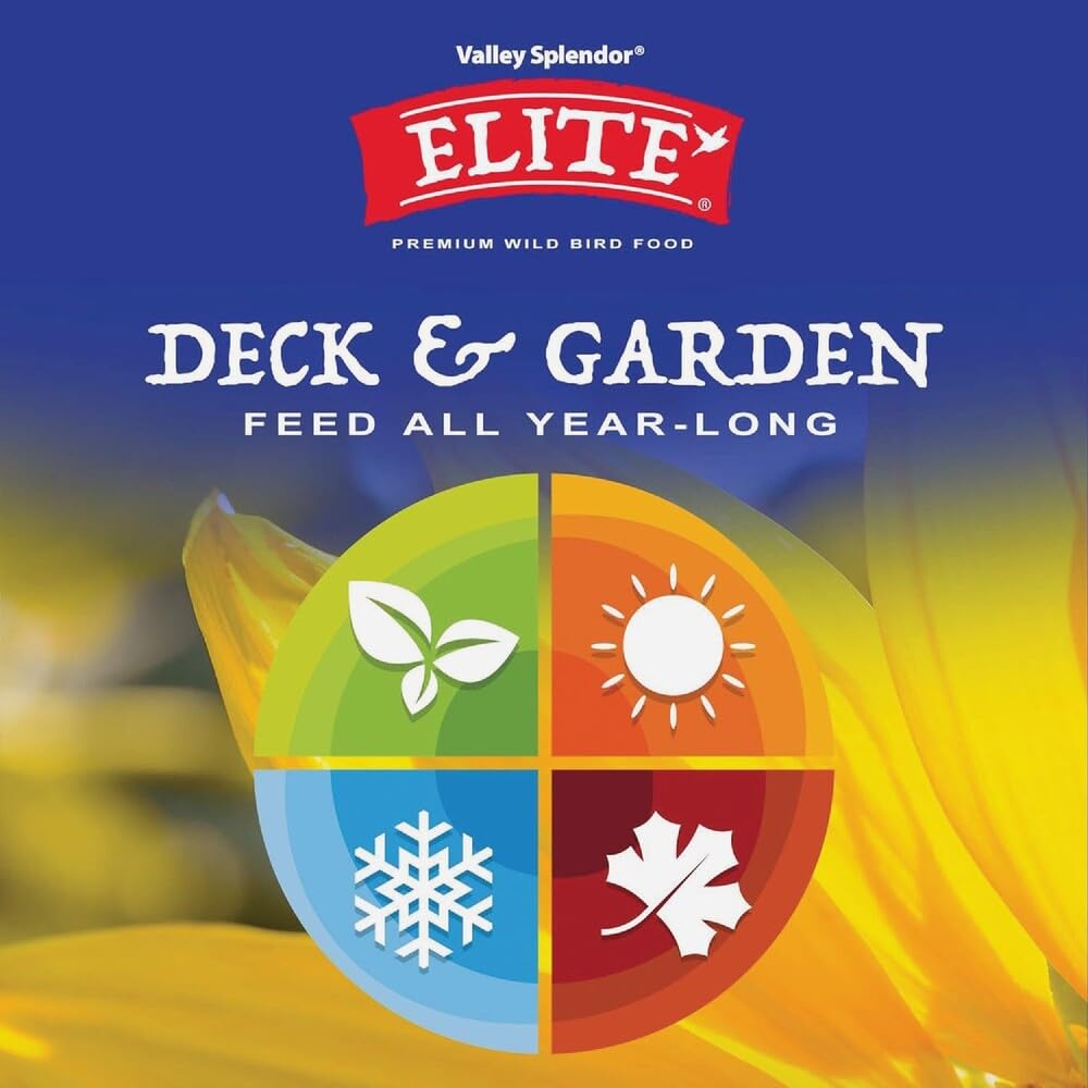 Deck i ogród, 5 funtów (9543)