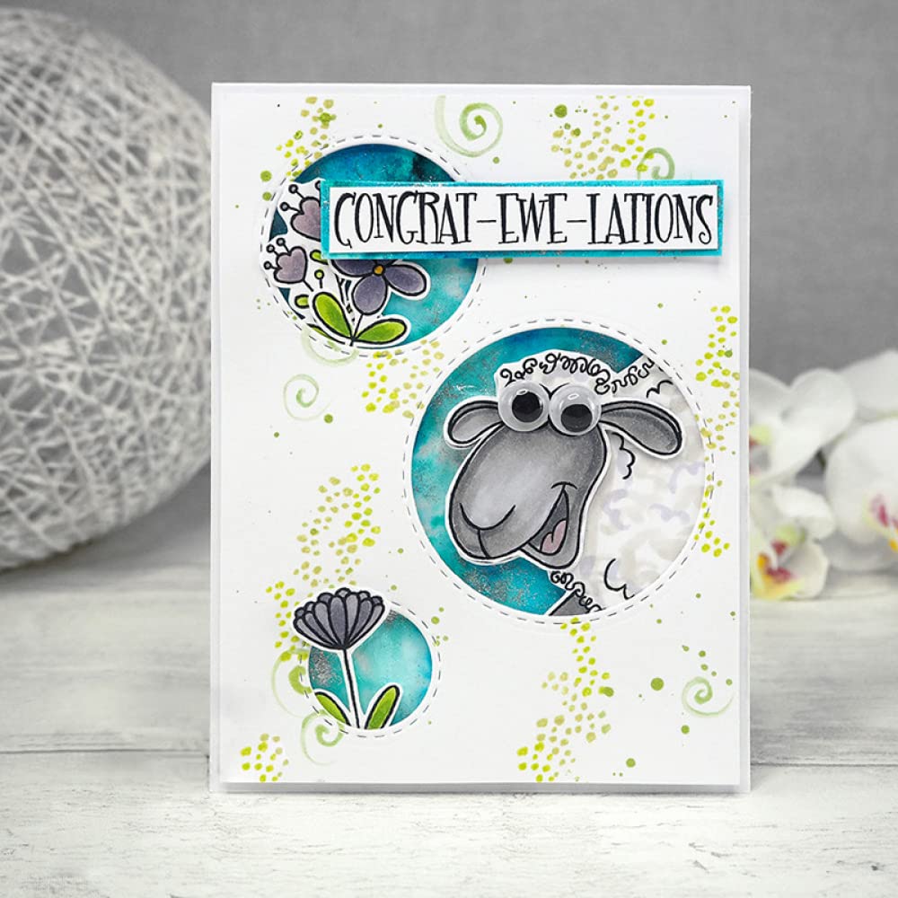 View 5