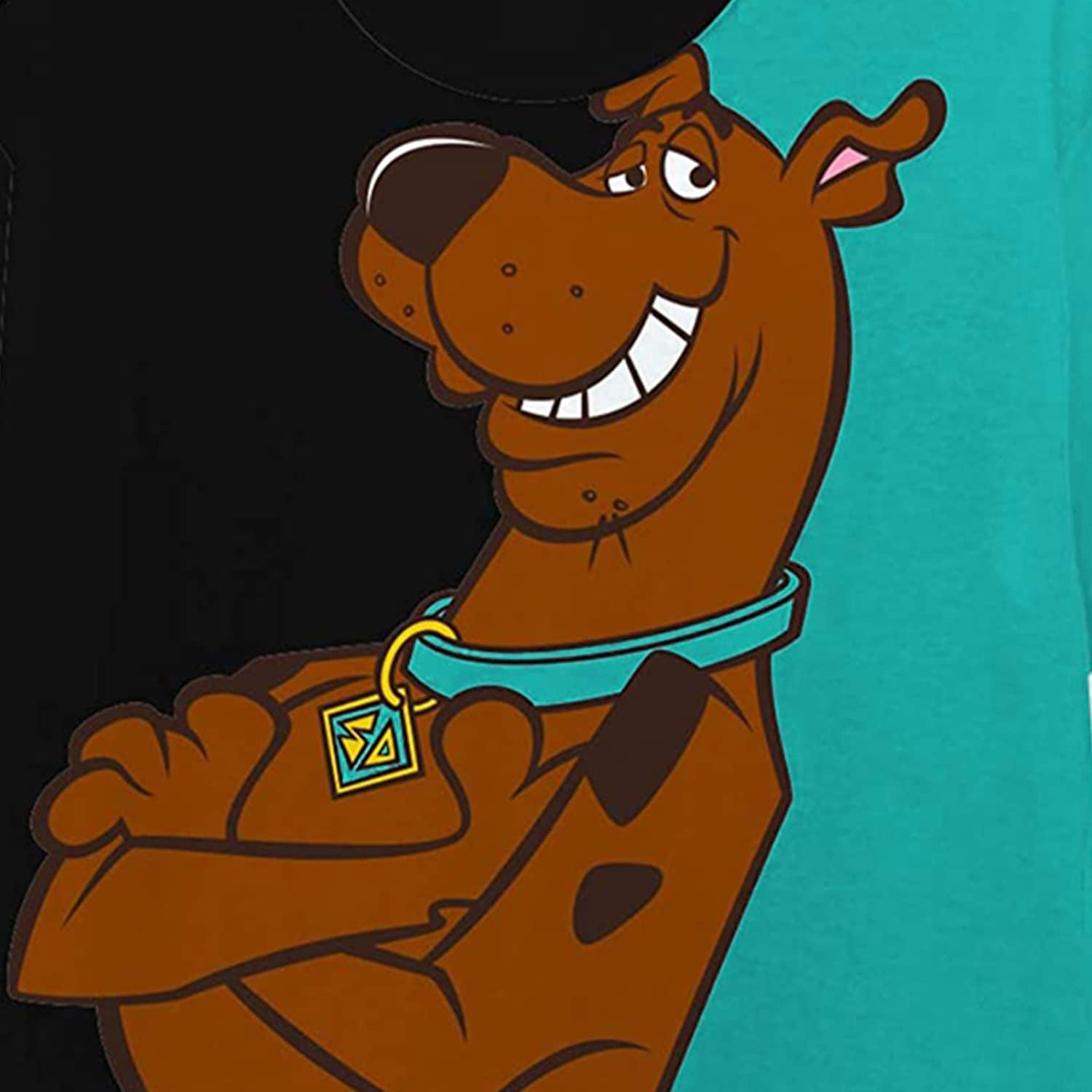 Scooby Doo Mens Throwback Shirt, Shaggy, Velma Tee - Throwback Classic T-Shirt