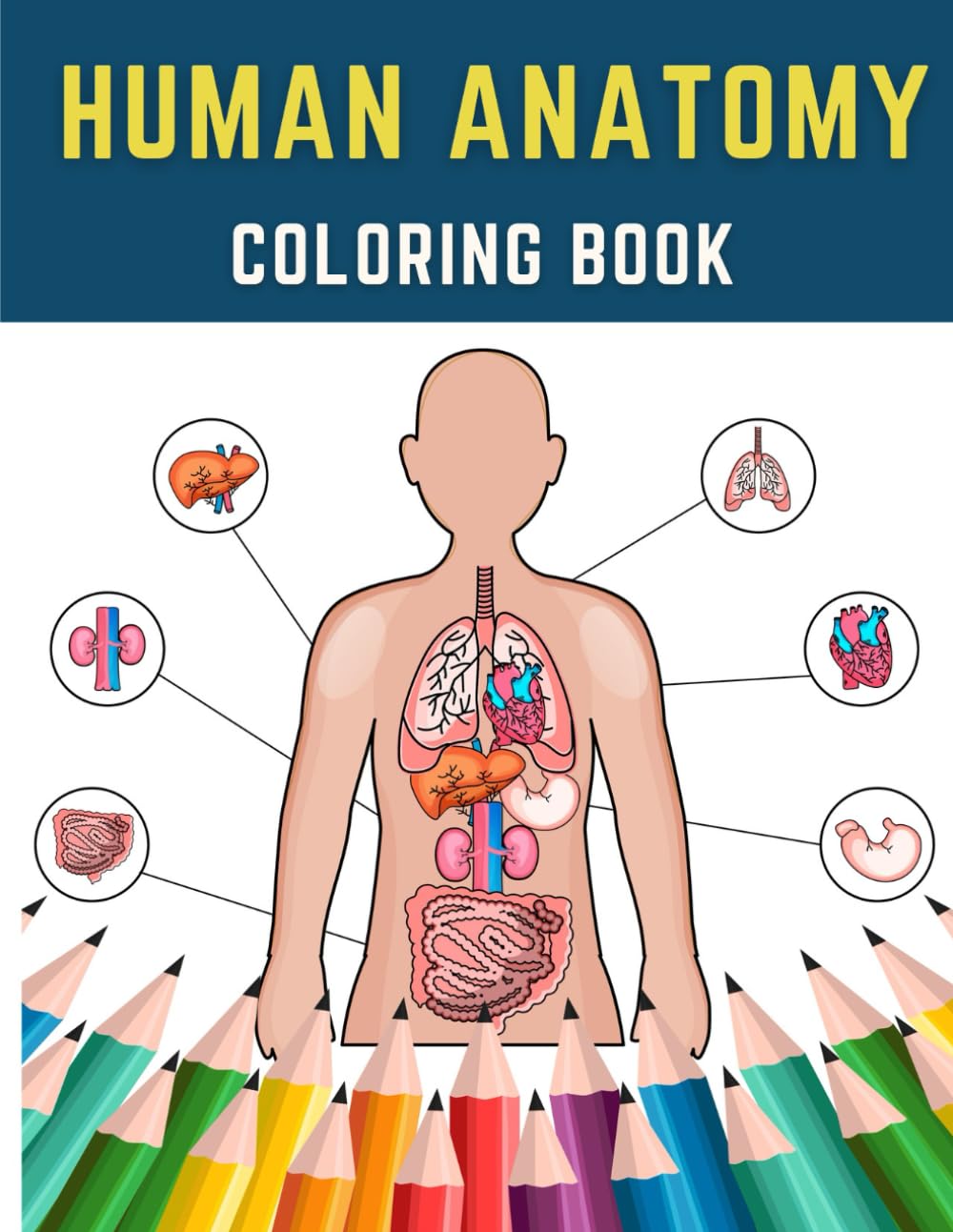 Human Anatomy Coloring Book: anatomy and physiology study tools, netters , anatomy for artists, radiology tech student essentials..........
