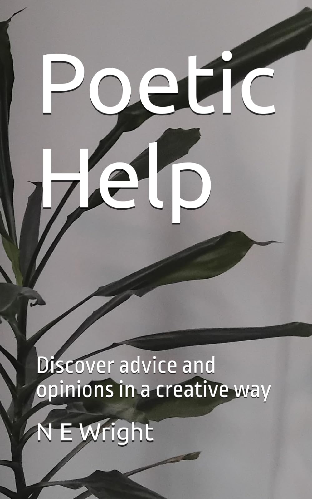 Poetic Help: Discover advice and opinions in a creative way
