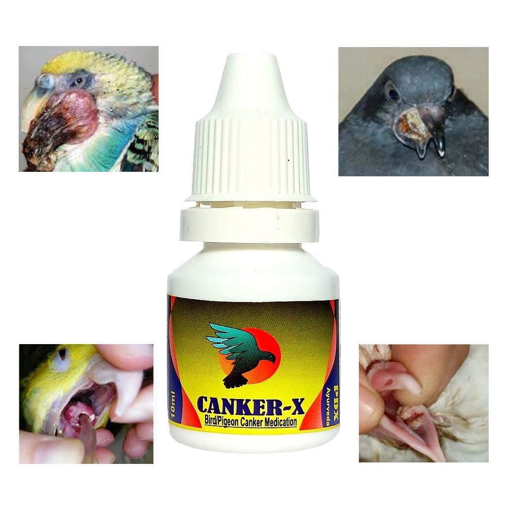 Pigeon & Small Bird POX Medication ? Complete Treatment Combo Pack || Cover Two-2 Extra Disease Canker and Eye Problems (Pox 80.Gram, Canker X 10.Gram, Eye Star 10ml) (B09NVM2ZG5) Amazon Price History, Amazon Price Tracker