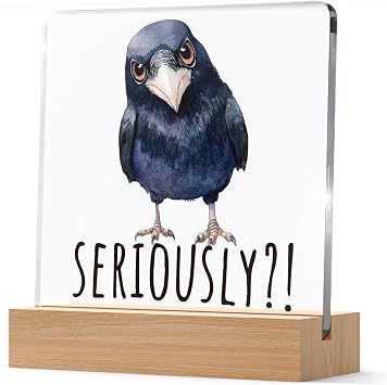 Gothic Aesthetics Crow Acrylic Decor Gifts for Friends Dark Lovers Women Men, Seriously Sign Crow Pattern Decor for Home Office Livingroom Bedroom, Funny Birthday