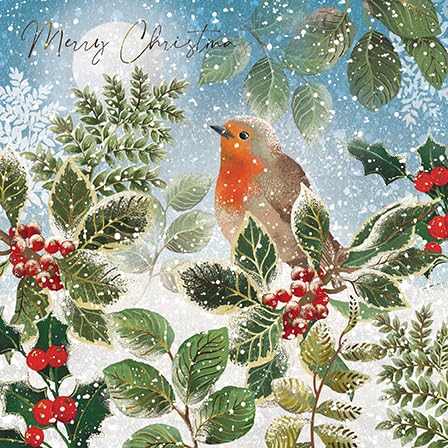 GBCC- Deluxe Boxes of Christmas cards 3 Designs - Robin Design - DELP0024, Multicoloured, 18 x 18 cm - Image 3