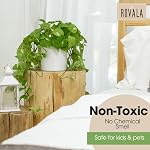 ROVALA Plantes artificielles en pot - Pending Realistic Faux Pothos pour décoration maison, Salon intérieur, Plateau de la chambre - Petite soie décorative