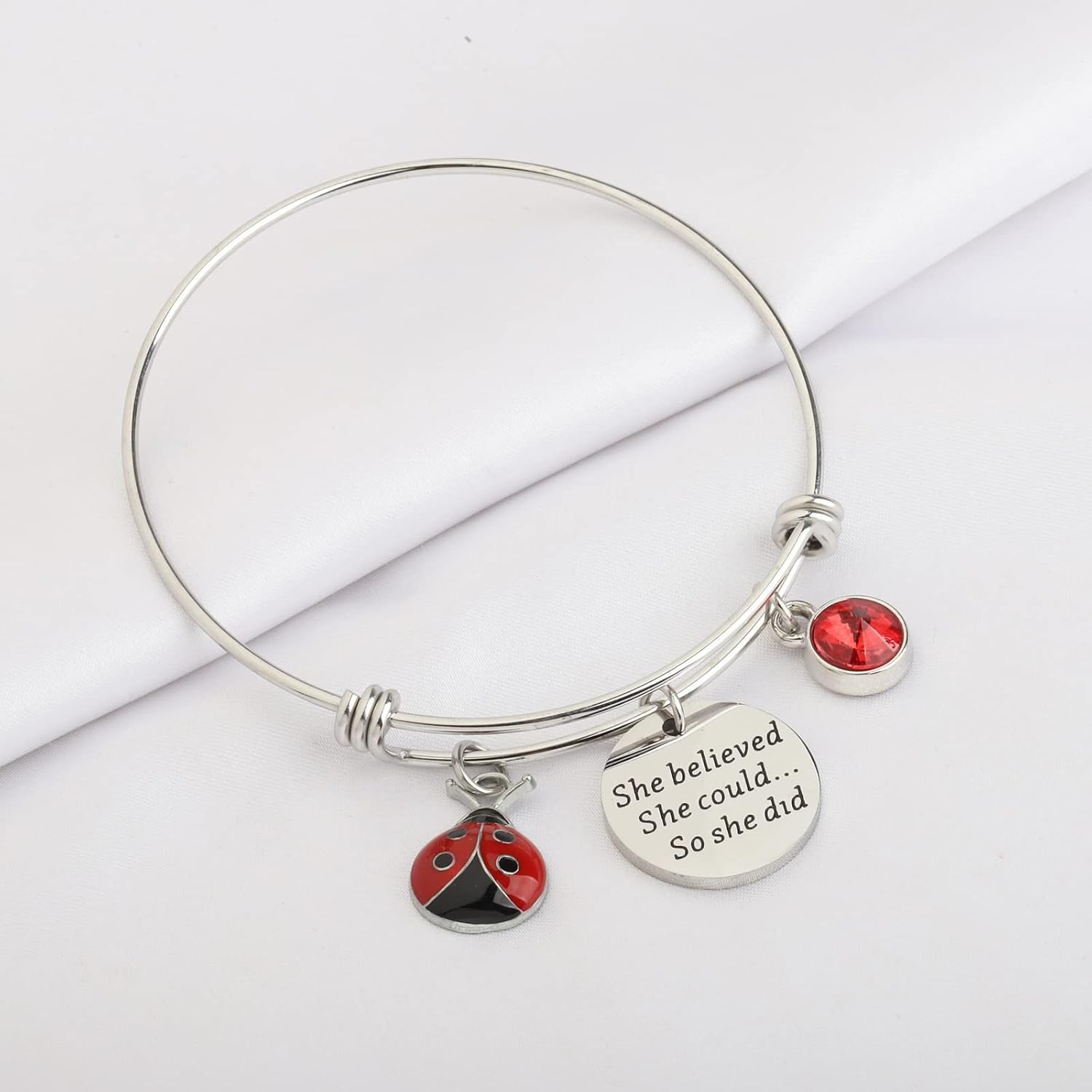 FAADBUK Ladybug Bracelet Ladybug Lover Gift She Believed She Could So She Did Inspiration Gift for Her