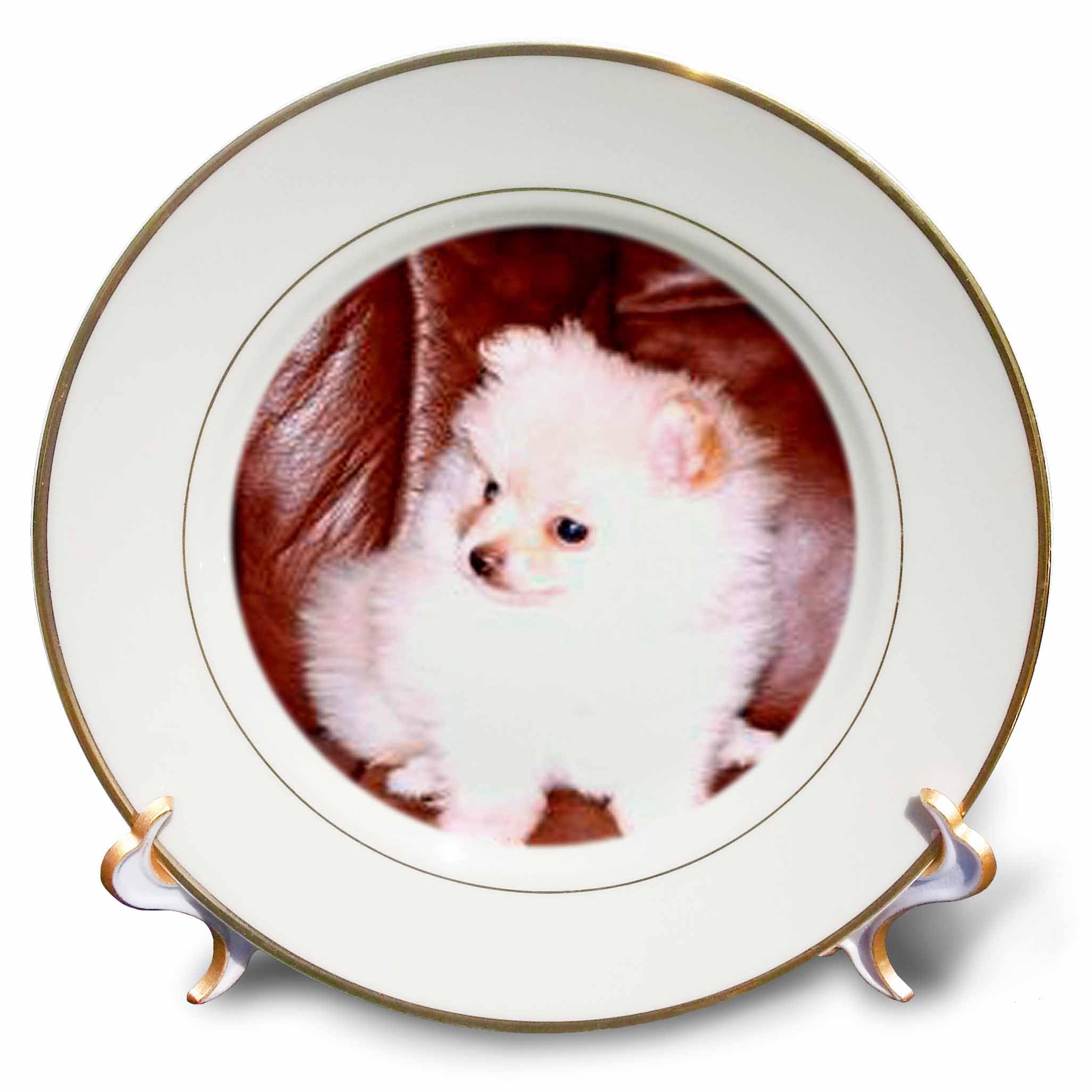 Amazon.co.jp: 犬ポメラニアン – ホワイトポメラニアン – プレート 8