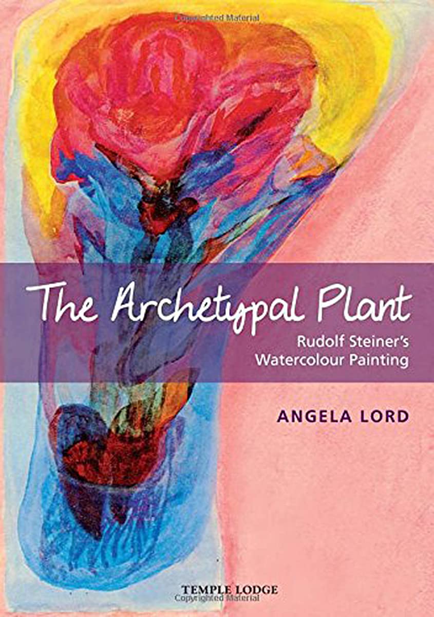 The Archetypal Plant: Rudolf Steiner's Watercolour  by Angela Lord PAPERBACK
