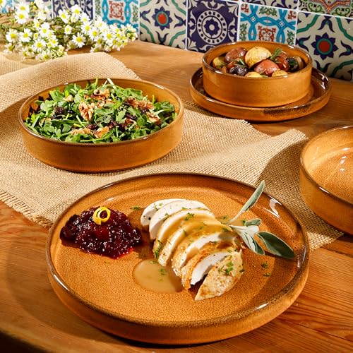 Oprahs-Favorite-Things-Santorini-Mist-Double-Bowl-Terracotta-Reactive-Glaze-Plates-and-Bowls-Dinnerware-Set-Amber-Service-for-Four-16pcs