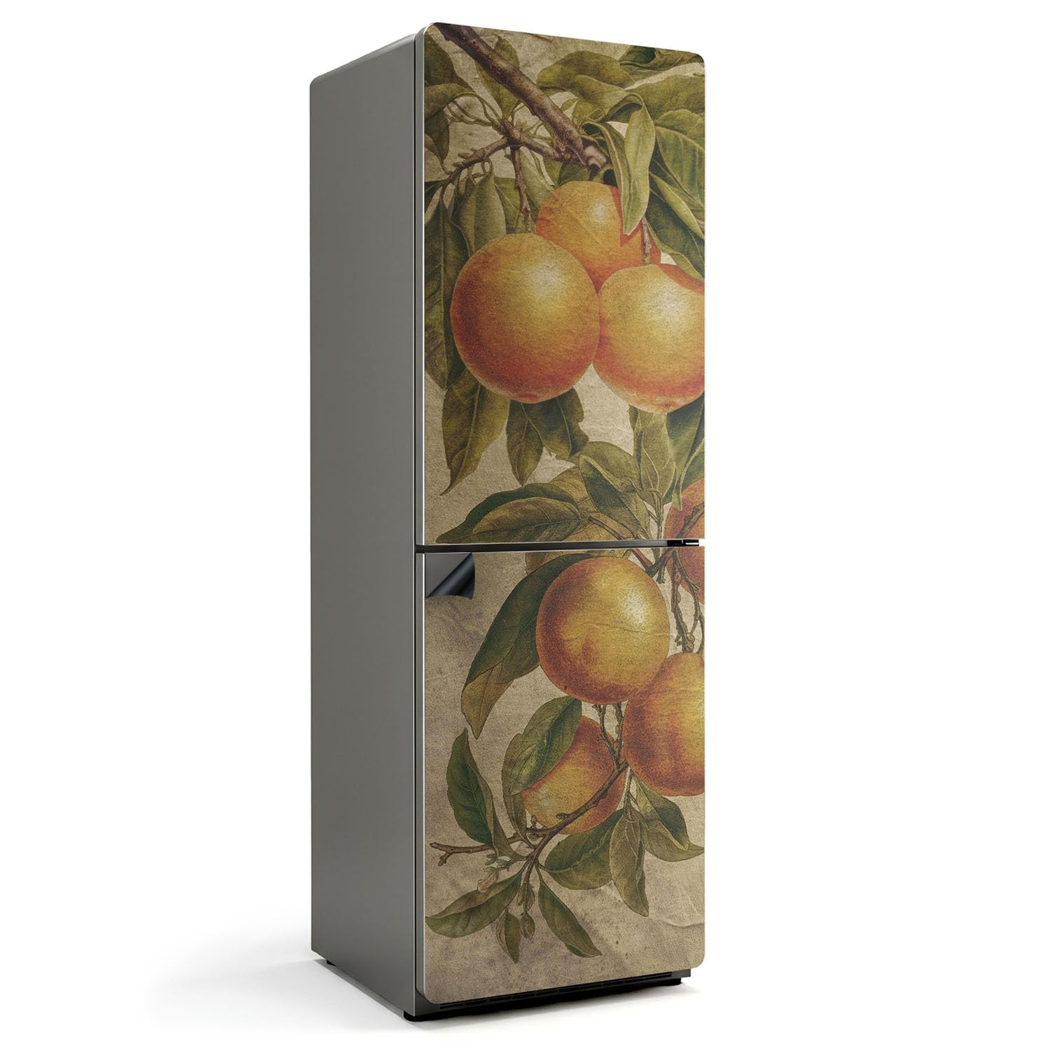 Tapis Magnétique Cuisine 60x180 cm Imperméable et Durable à Motif Branche Agrumes