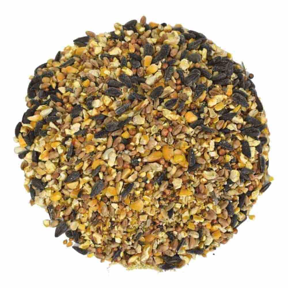 KLASEBO Streufutter 25 kg - Wildvogelfutter für alle Jahreszeiten
