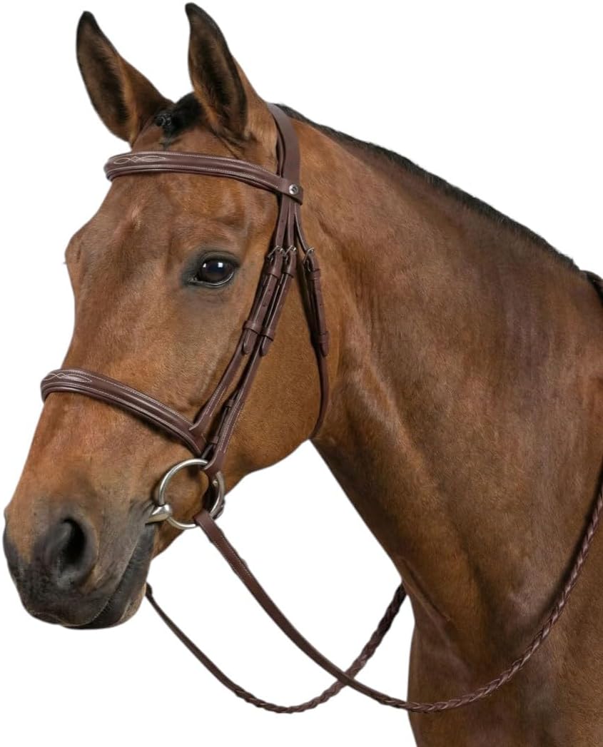 Henri de Rivel Advantage Fancy Raised Snaffle Bridle with Laced Reins