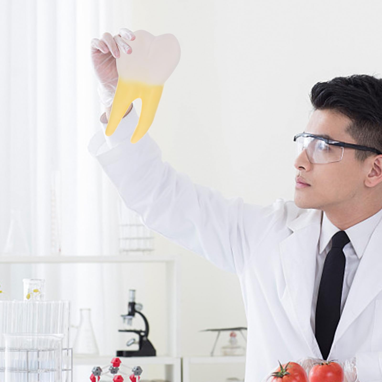 iplusmile Modell eines menschlichen Backenzahns: 3D-Schnittpräparat eines Backenzahns für die zahnärztliche Ausbildung – Präsentationshilfe für Zahnärzte im Schulunterricht