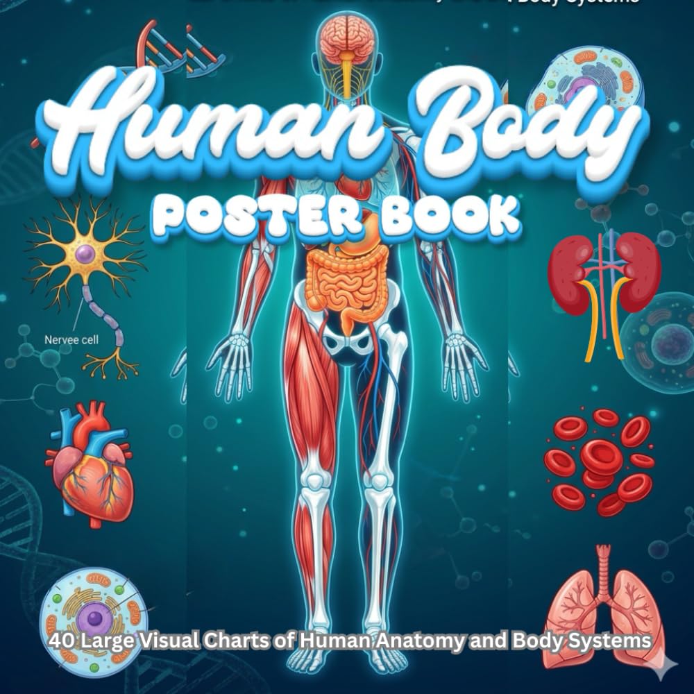 Human Body Poster Book: 40 Large Visual Charts to Explore Cells, Tissues, Organs, and Human Body Systems — Skeletal, Muscular, Circulatory, ... Endocrine, Excretory, Reproductive, and Skin