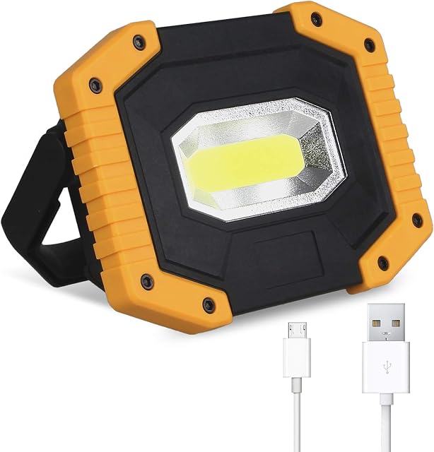 30W Rechargeable Portable Work Light, T-SUN LED Floodlights with USB, Spotlight Waterproof Outdoor for Car Repairing, Fishing, Camping, Emergency Security Lights, 3 Modes (Battery Included) 1-Pack