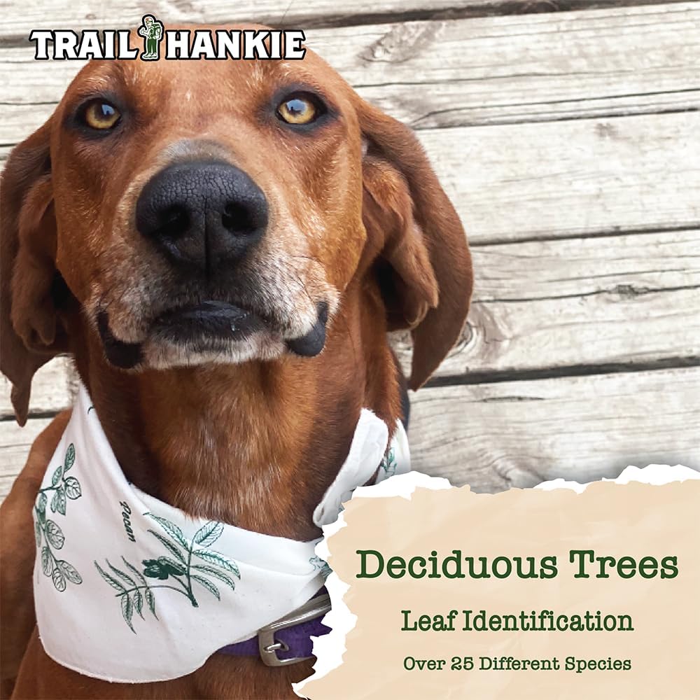 Deciduous Trees For Hiking, Fishing, Boy Scouts, Camping, Outdoor Recreation - Neckwear/Face Mask/Handkerchief - Made in the USA 100% Cotton, Machine Washable, Natural Bandana - Image 3