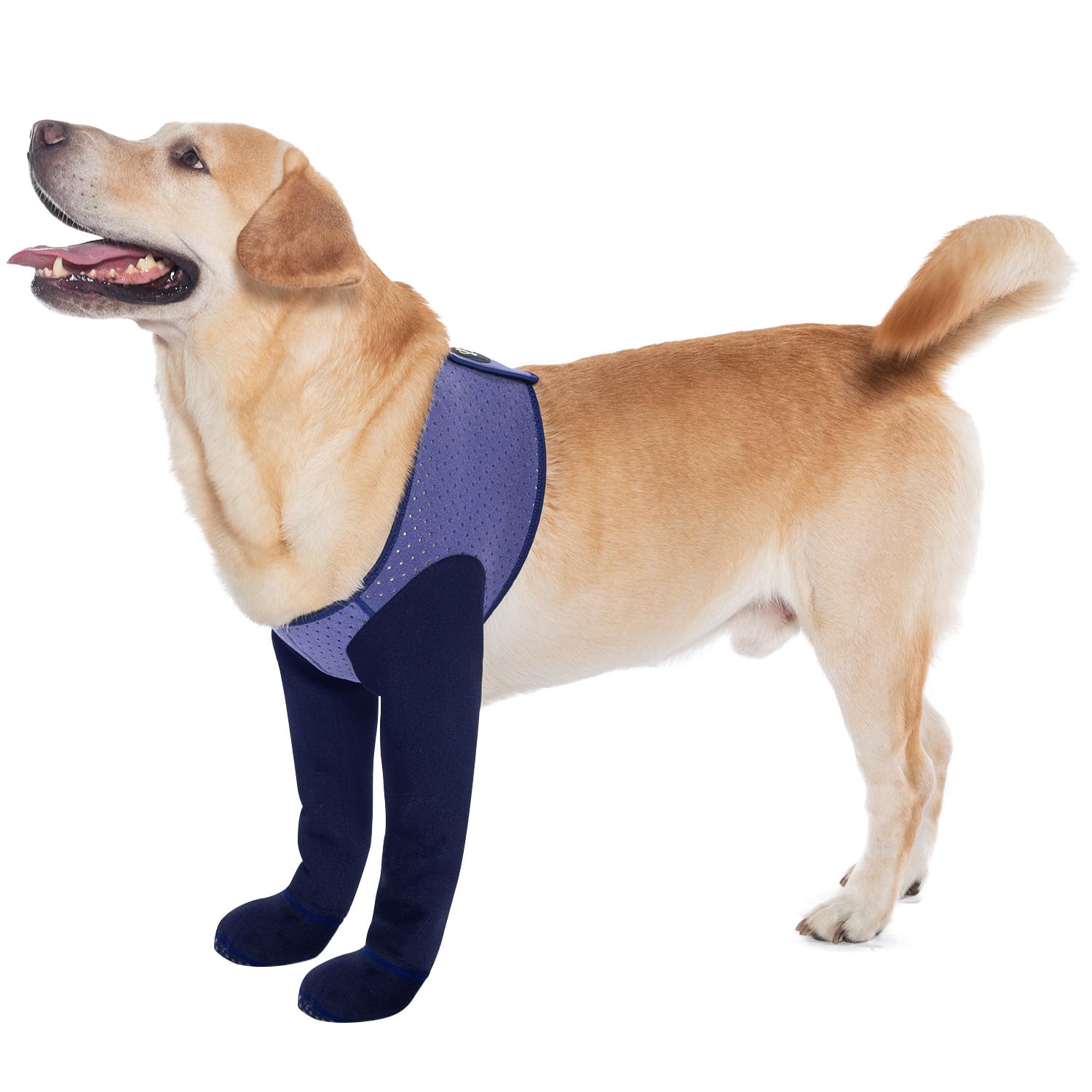 COODEO Dog Socks & Boots to Prevent Licking Paws, Paw Protectors with Non-Slip Bottoms to Protect Wounds, Waterproof Dog Shoes for Licking (Purple, 2XL)