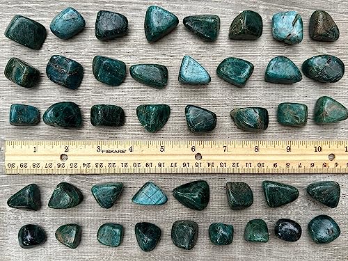 Image of GAF TREASURES 1 /2 LB Apatite Tumbled Stones, Polished Apatite Gemstone, Apatite Healing Crystals (Apatite)