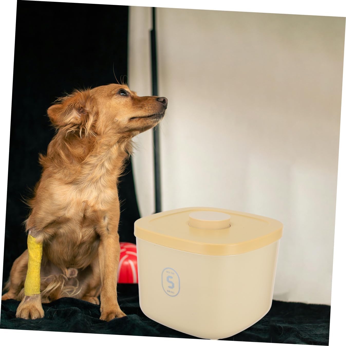 Alasum Vacuum Sealed Dog Food Storage Bucket Airtight Pet Food Container Small Yellow Moisture-proof Bin and Snacks