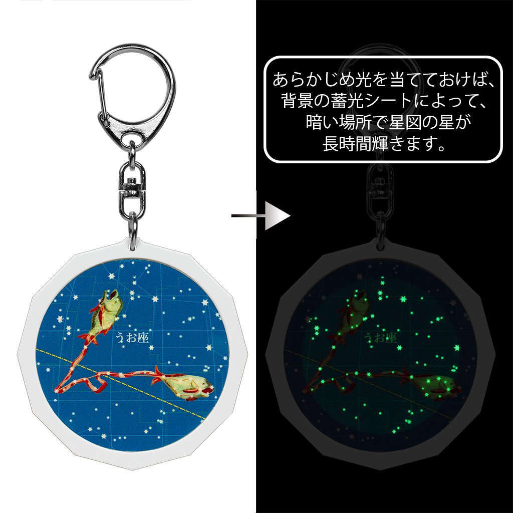 これ可愛くないですか？星座(こちらはうお座) これ可愛くないですか？星座(こちらはうお座)