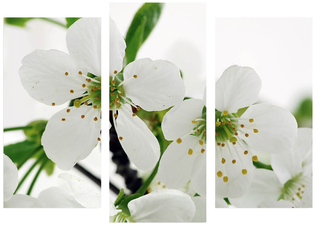 Asir Group LLC3KBPaT Horizon - 7 Decorative Painting Canvas, Multicolour