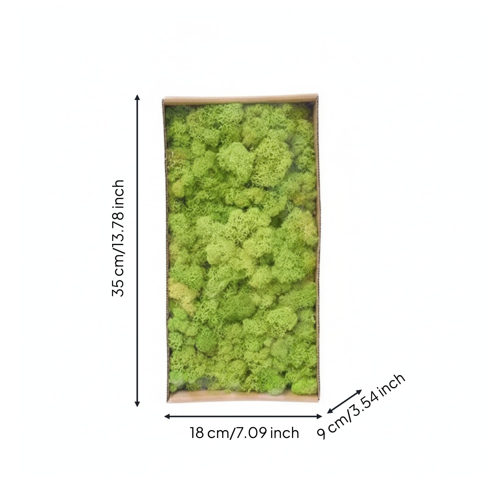 Muschio Stabilizzato Senza Manutenzione Muschio Decorativo Flessibile Piante per Composizioni Floreali, Verde Tenero 5