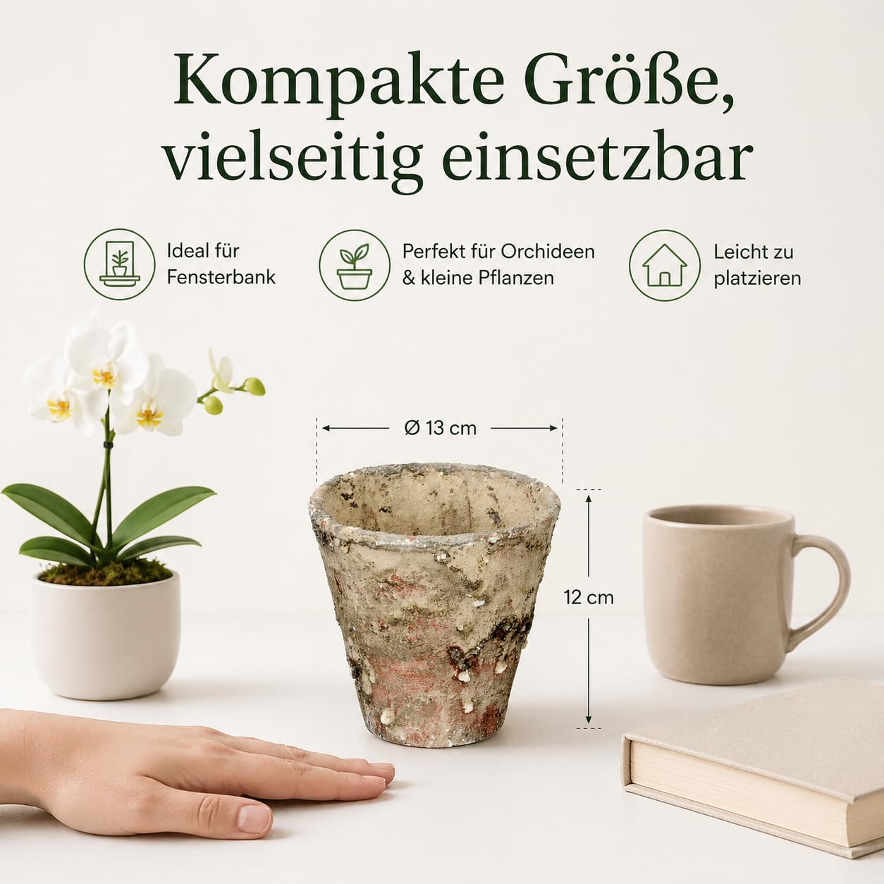 blumenkasten am fensterbrett befestigen Blumenkastenhalterung mit Haltebgel f. Fensterbnke Edelstahl ohne Bohren