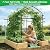 Tetutor Tall Garden Arch Trellis for Climbing Plants Outdoor,7 ft Arbor Large Arch Tunnel Trellis, Metal Cucumber Trellis, Plant Support Archway Garden Trellis for Vegetables Fruits Flowers Yard