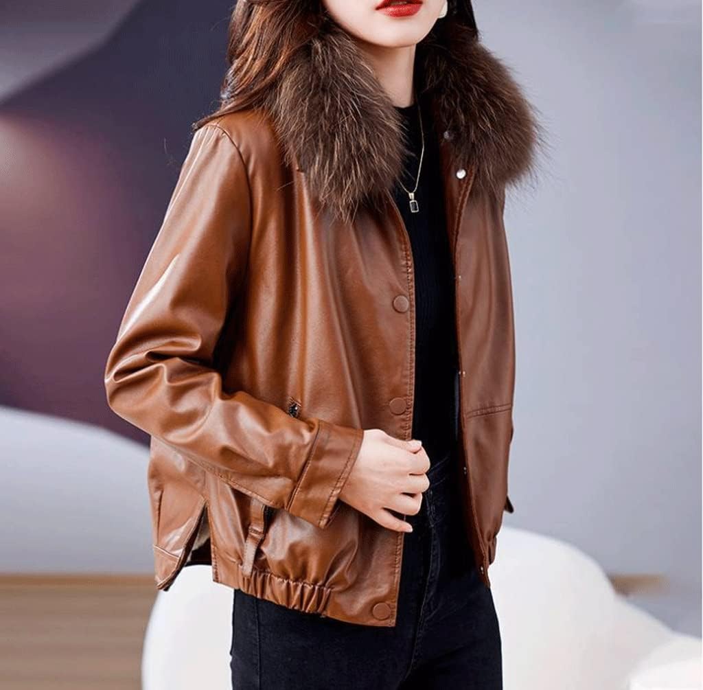 フランシス・ピカビア、LANO、海外版超希少レゾネ、新品額付 フランシス・ピカビア、LANO、海外版超希少レゾネ、新品額付、ara