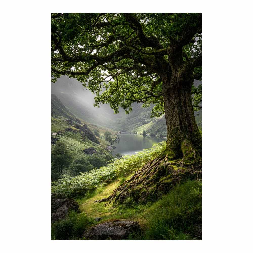 XENIOU Landscape Wall Pictures Mossy Oak Lake Views pictures, print canvas poster decor for living room, bathroom canvas art, for Bedroom Home Decoration.(Multicolor)-70x100cm Unframed